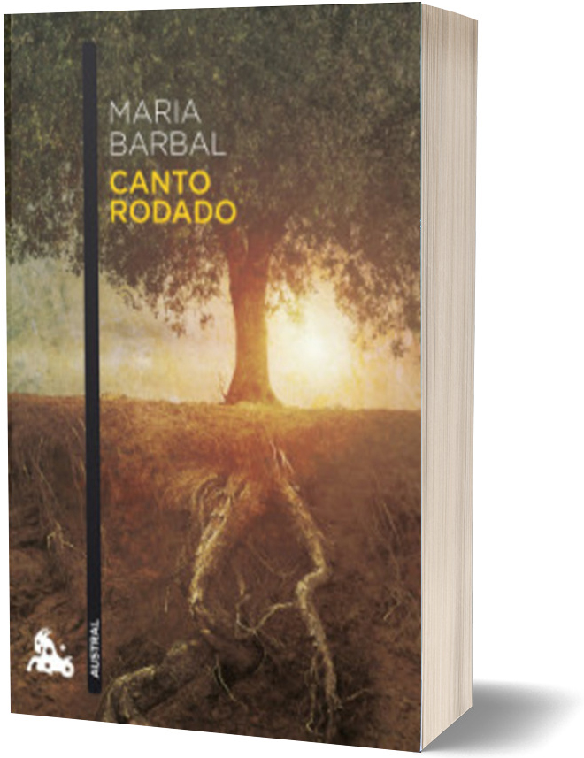 Libro en 3D de Canto Rodado
